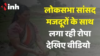 लोकसभा सांसद Gomati Sai का मजदूरों के साथ खेत में रोपा लगाते Video Viral