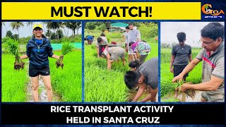 #MustWatch! Rice transplant activity held in Santa Cruz