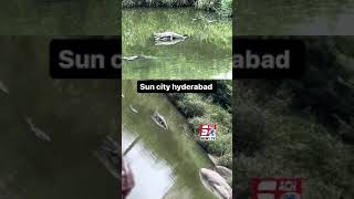 Crocodile ???? Seen after Heavy Rainfall In Hyderabad