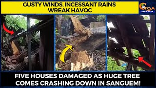 Gusty winds, Incessant rains wreak havoc- Five houses damaged as huge tree comes crashing down!