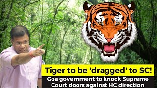 #Watch- Now tiger to be dragged to Supreme Court against High Court's direction