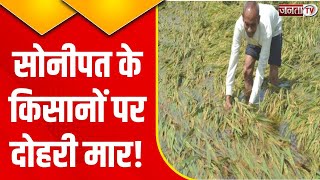 Sonipat में बसोदी गांव के किसानों पर दोहरी मार, बाढ़ और अवैध खनन ने बढ़ाई किसानों की चिंता