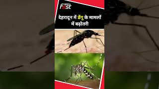 देहरादून में डेंगू के मामलों में बढ़ोतरी #shortsvideo