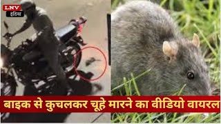 Noida News: बाइक से कुचलकर चूहे मारने का वीडियो वायरल
