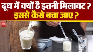 भारत में रोजाना दूध में होती है मिलावट, लोगों की सेहत के साथ कैसे होता है खिलवाड़?| Dairy Farming