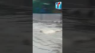 విశాఖలో వర్షాలకు నీటమునిగిన రోడ్లు | Rain Effect In Visakhapatnam Toaday  | Floods | Top Telugu TV