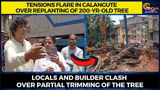 #Tensions flare in Calangute over replanting of 200-yr-old tree.