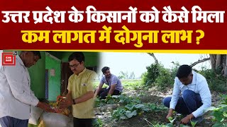 Uttar Pradesh में किसानों के लिए काफी लाभदायक साबित हो रही है Organic Farming.