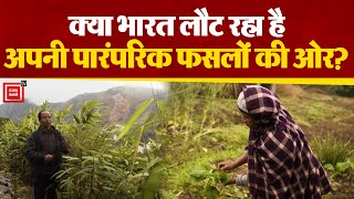 अपनी पारंपरिक फसलों की ओर लौटता हुआ भारत का North-East राज्य Meghalaya,एक NGO कर रही है मदद