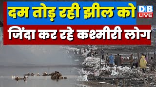 दम तोड़ रही झील को जिंदा कर रहे हैं कश्मीरी लोग [Locals revive a Kashmir lake’s health] #ecoindia