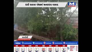 Amreli  Dhari ચલાલા પંથકમાં અનરાધાર વરસાદ  | MantavyaNews