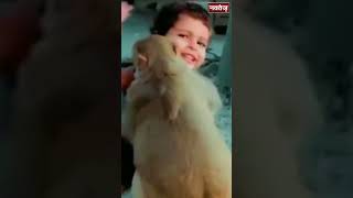 Viral Video:बंदर और बच्चे की अनोखी दोस्ती! | Latest Viral Video |