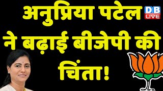 Anupriya Patel ने बढ़ाई BJP की चिंता ! NDA-INDIA | Lok Sabha Election 2024 | Breaking News |#dblive