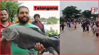 Barish Ke Baad Fishes Road Par | Telangana Kareemnagar | SACH NEWS |