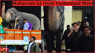 Kolhapur Se Hyderabad Poncha Haati Muharram Juloos Ke Liye | SACH NEWS |