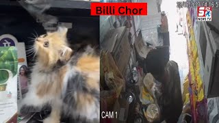 Persian Cat Ki Chori | Caught In CCTV | Khilwat Hyderabad | SACH NEWS |