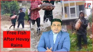 Fishes Rods Aur Colonies Mein | Barish Ke Baad Telangana Ki Awaam Ko Mili Free Ki Fish | SACH NEWS |