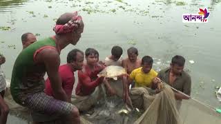 নতুন উপায়ে মাছ চাষে করে সফল রংপুরের চাষিরা | Ananda TV