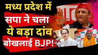 MP News | मध्य प्रदेश में सपा ने चला ये बड़ा दांव बोखलाई BJP! | जिम्मेदारी  मिलते ही बड़ा दावा