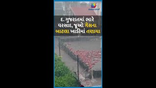 દ. ગુજરાતમાં ભારે વરસાદ, જૂઓ ગેસના બાટલા ખાડીમાં તણાયા #rain #southgujarat #haveyrain #weather