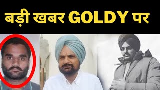 moosewala father on goldy brar || Punjab News tv24