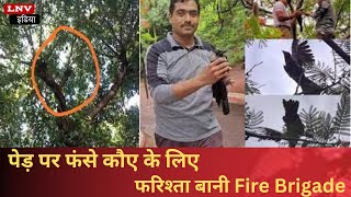 Lucknow News : पेड़ पर फंसे कौए के लिए फरिश्ता बानी Fire Brigade,Video देखें