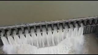 मध्यप्रदेश जबलपुर बरगी बांध के 15 गेट को खोला गया । jabalpur bargi dam information @TezNewsTv