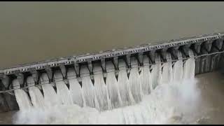 Bargi Dam | Bargi Dam Jabalpur | जबलपुर: बरगी बांध के 19 गेट को खोला गया है, देखें ये विहंगम दृश्य