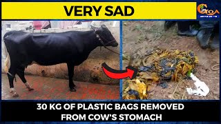 #VerySad: Cow dies in Valpoi 30 Kg Of Plastic Bags Removed From Cow's Stomach
