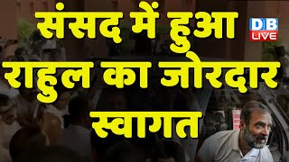 संसद में हुआ Rahul Gandhi का जोरदार स्वागत | नफरत के खिलाफ मोहब्बत की जीत है | Congress | #dblive