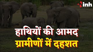 Surajpur Elephant News: SECL खदान के पास हाथियों का विचरण | मौके पर पहुंचा वन अमला