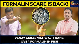 Formalin scare is back! Venzy grills Vishwajit Rane over formalin in fish