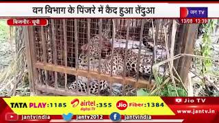 Bijnor News | वन विभाग के पिंजरे में कैद हुआ तेंदुआ, 13 लोगों का तेंदुआ कर चुका है शिकार | JAN TV