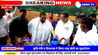 SILLI/कृषि मंत्री बादल पत्रलेख और सिल्ली विधायक सुदेश कुमार महतो ने लाह खेती का वृक्षरोपण किये।