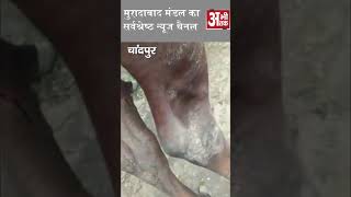 चांदपुर के बमनौली की मंडियों में गुलदार ने किया हमला