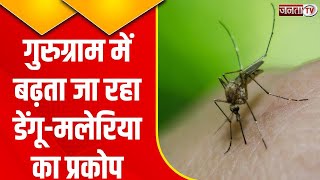 Gurugram: डेंगू और मलेरिया के बढ़ते मामलों पर Dr. Virender Yadav से Exclusive बातचीत | Janta Tv