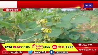Didwana Raj. News | बरसात नहीं होने से फसलों को नुकसान, मूंग, मोठ, सहित कई फसलों पर पड़ रहा असर