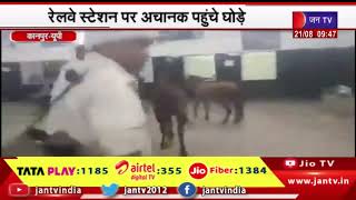 Kanpur UP News | रेलवे स्टेशन पर अचानक पहुंचे घोड़े, यात्रियों में मचा हड़कंप