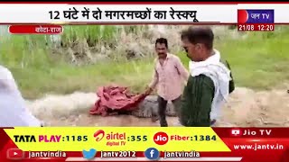 Kota Rajasthan | चंबल किनारे बसे कॉलोनियों में मगरमच्छ का आतंक, 12घंटे में  2 मगरमच्छों का रेस्क्यू