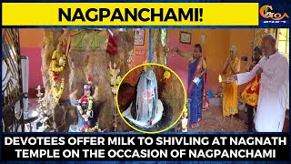 #Nagpanchami! Devotees offer milk to Shivling at Nagnath temple on the occasion of Nagpanchami