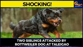 #Shocking! Two siblings attacked by Rottweiler dog at Taleigao