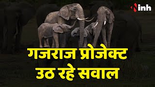 Raigarh Elephant News: जिले के 57 गांव हाथियों से प्रभावित | Gajraj Project को लेकर उठ रहे सवाल