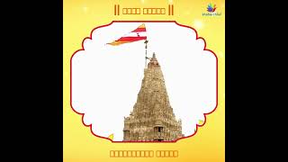 20  ઓગસ્ટ 2023, પ્રખ્યાંત મંદિરોના આજના દર્શન  #inspiration #salangpur #motivation #hanumanji