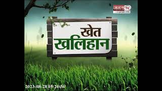 Khet Khalihan: नेपीयर घास से बढ़ा दूध का उत्पादन, देखिए रिपोर्ट | Janta Tv Haryana