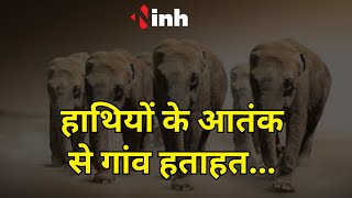 Dhamtari में हाथियों ने मचाया कोहराम, बढ़ रहा गाँव पर खतरा
