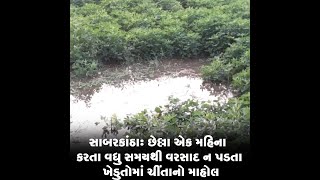 સાબરકાંઠા: છેલ્લા એક મહિના કરતા વધુ સમયથી વરસાદ ન પડતા ખેડુતોમાં ચીંતાનો માહોલ