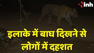 Tiger In Surajpur: इलाके में बाघ दिखने से लोगों में दहशत | Alert पर Forest Department | CG News