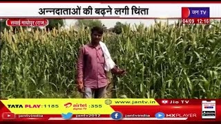 Sawai Madhopur Rajasthan | बारिश की कमी से  फसलों में नुकशान, अन्नदाताओं की बढ़ने लगी चिंता
