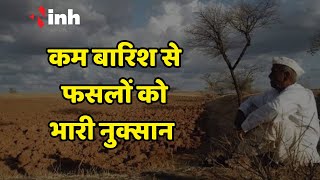 Madhya Pradesh News: कम बारिश से हुआ फसल को भारी नुकसान, जानें पूरी खबर