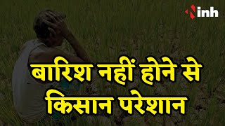 Dhamtari News: बेलर तहसील में सूखे का खतरा | बारिश नहीं होने से किसान परेशान
